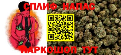 гидра Краснознаменск