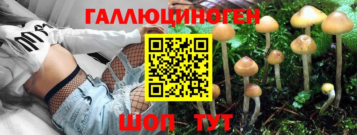 Котельники  Галлюциногенные грибы Psilocybe  Галлюциногенные грибы Psilocybe  даркнет сайт  Вход с VPN 